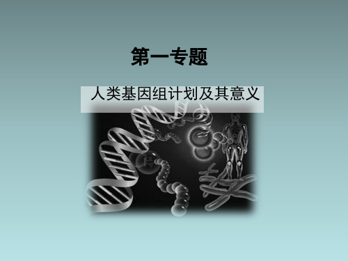 苏教版高中语文必修5《人类基因组计划及其意义》优秀课件