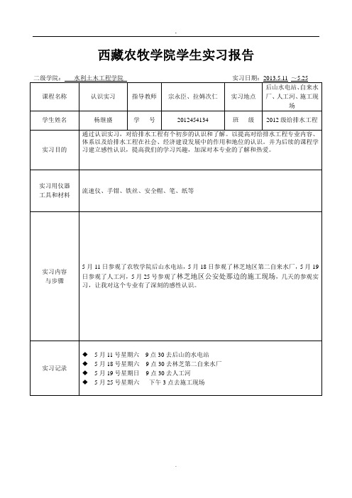 西藏大学农牧学院积水排水工程实习报告