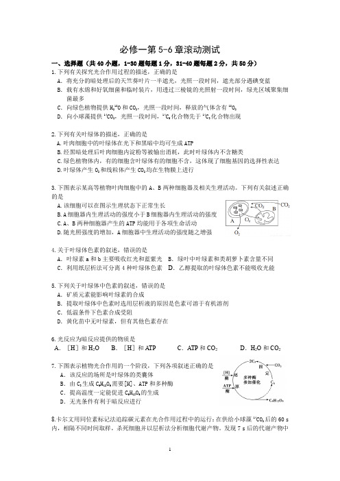 高中生物必修一第5-6章滚动测试题