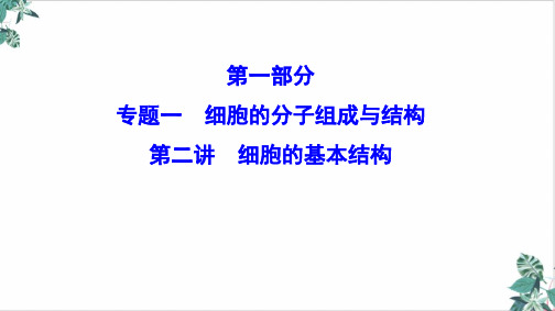 新课标2020高考生物二轮总复习专题一细胞的分子组成与结构.2细胞的基本结构(67张)