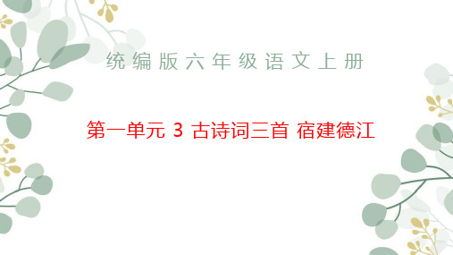 语文六年级上册3 古诗词三首 宿建德江 课件(共25张PPT)