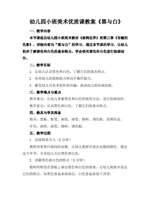 幼儿园小班美术优质课教案《黑与白》(1)