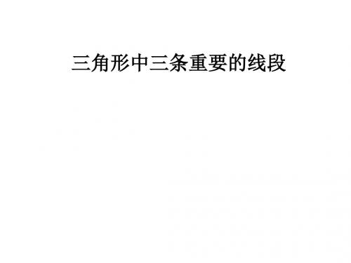 三角形中的主要线段-(新编2019教材)