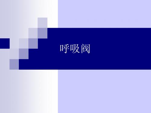 呼吸阀