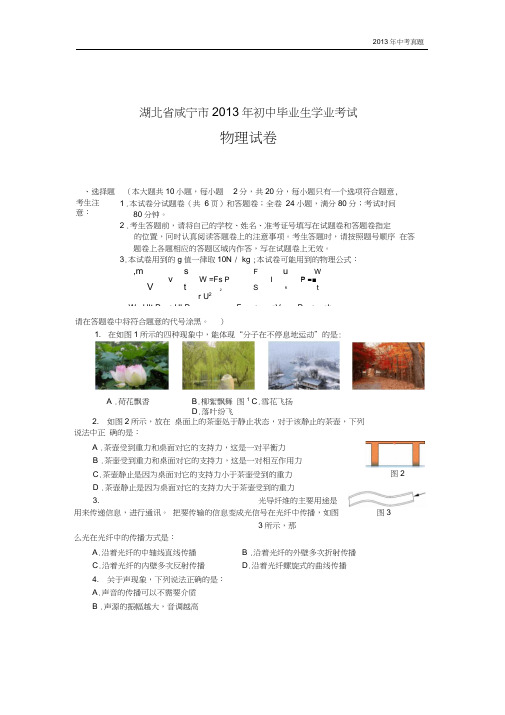 2013年湖北省咸宁市中考物理试题含答案