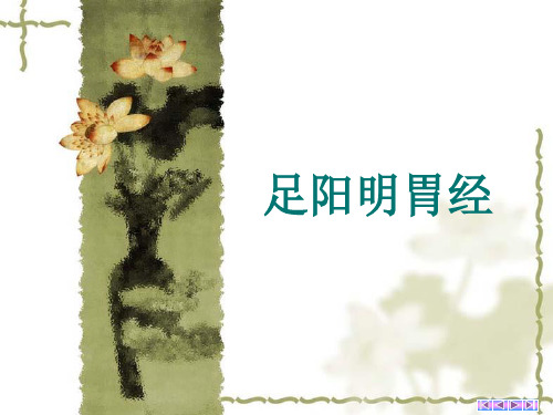 足阳明胃经