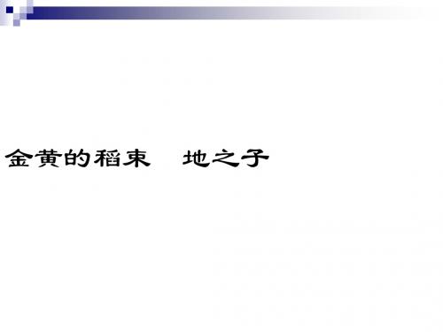 人教版选修《中国现代诗歌散文欣赏》第17课 金黄的稻束 课件1