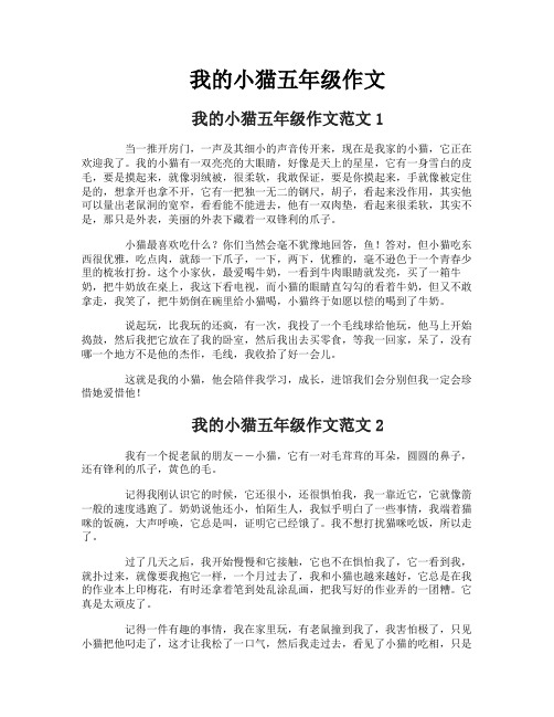 我的小猫五年级作文