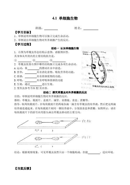 苏教版生物七年级上册4.1 单细胞生物导学案(无答案)