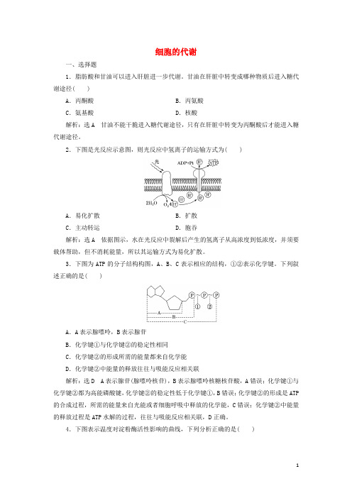 2024_2025新教材高中生物第三章细胞的代谢阶段检测含解析浙科版必修1