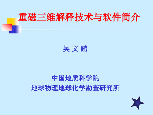 重磁三维反演技术(2010118)