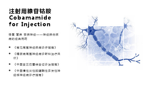 注射用腺苷钴胺产品介绍ppt