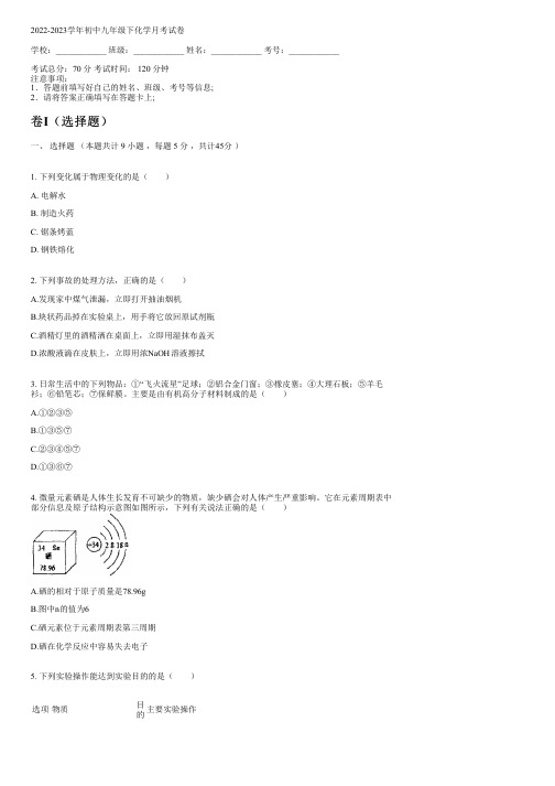 2022-2023学年人教版九年级下化学月考试卷(含解析)