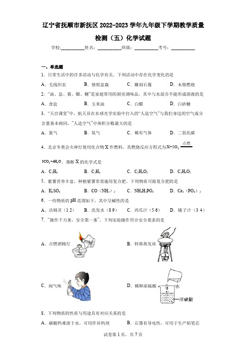 辽宁省抚顺市新抚区2022-2023学年九年级下学期教学质量检测(五)化学试题