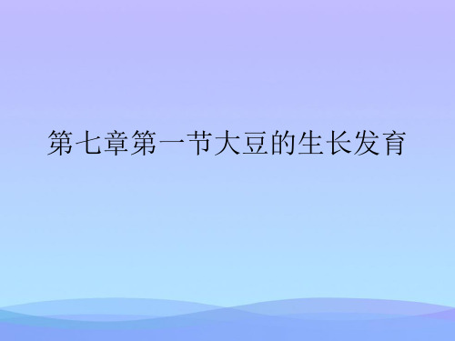 第七章第一节大豆的生长发育精品PPT资料