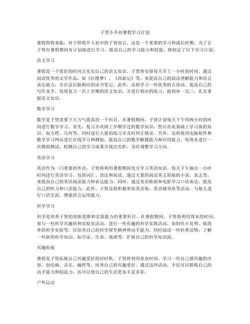 子贤小升初暑假学习计划