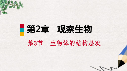 七年级科学上册 第2章 观察生物 第3节 生物体的结构层次 2.3.3 器官和系统课件 (新版)浙教版