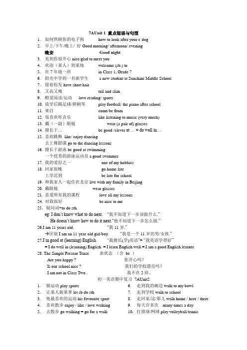 新译林版英语七年级上册12单元短语和练习