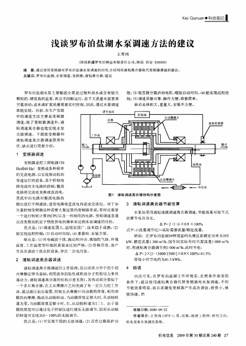 浅谈罗布泊盐湖水泵调速方法的建议