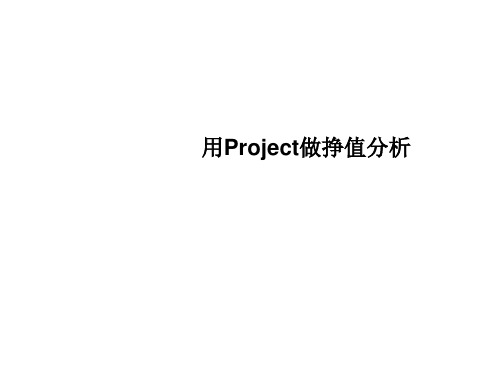 用Project做挣值分析