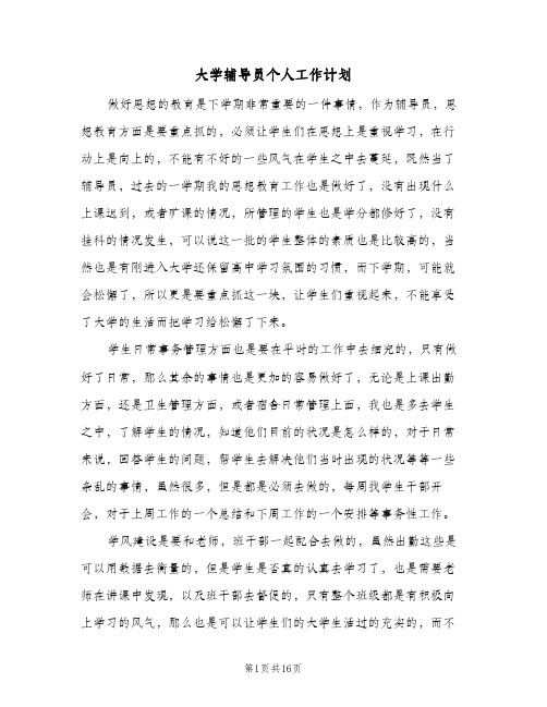 大学辅导员个人工作计划(四篇)