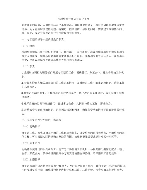 专项整治方案成立领导小组