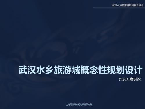 2010武汉水乡旅游城概念性规划设计(82256168060