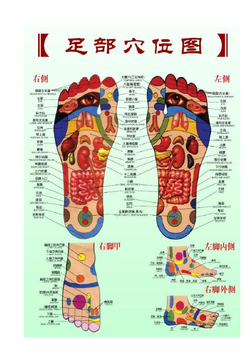 足底按摩穴位图