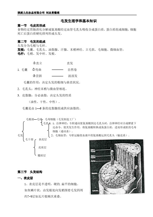 毛发生理学-阿勇版