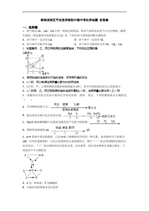 深圳龙岗区平安里学校初中部中考化学试题 含答案