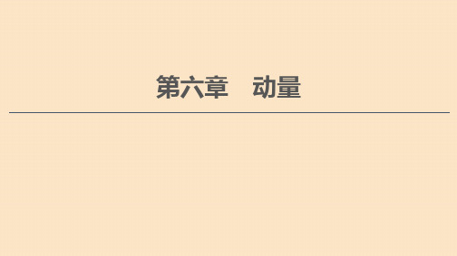 (通用版)2021版高考物理大一轮复习第6章动量第1节动量和动量定理课件