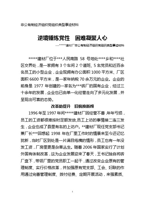 非公有制经济组织党组织典型事迹材料(修改版)