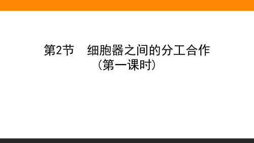 细胞器之间的分工合作 第一课时—人教版高中生物必修一