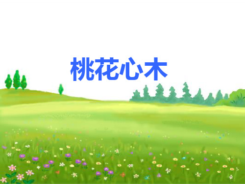 《桃花心木》ppt课件(完美版)