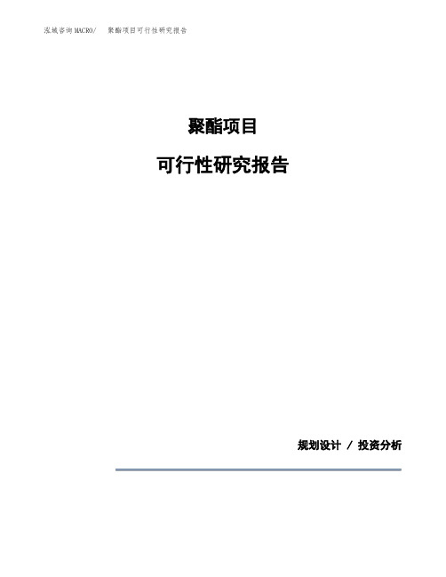 聚酯项目可行性研究报告