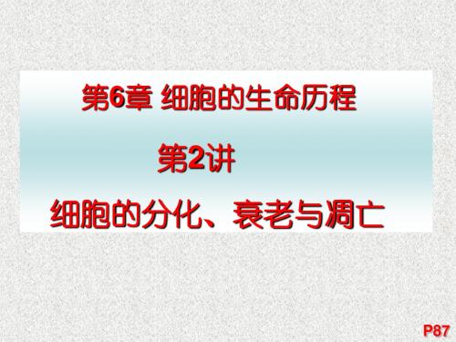 细胞分化、衰老和凋亡