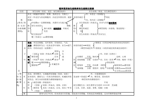 根茎结构比较、无脊椎和脊椎动物分类比较表