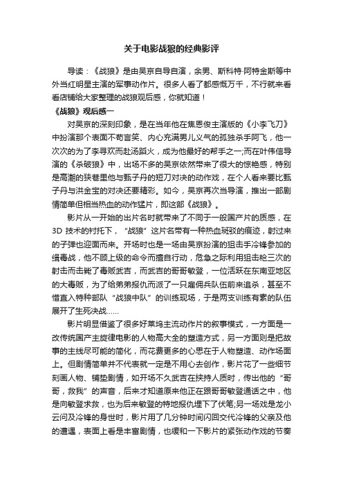 关于电影战狼的经典影评