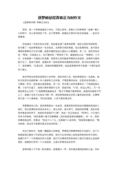 逐梦新征程青春正当时作文