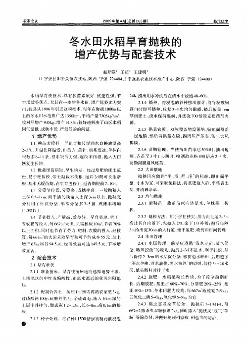 冬水田水稻旱育抛秧的增产优势与配套技术