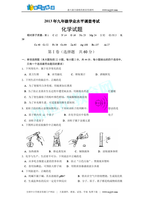 2013济南市第一中学中考化学第三次模拟试题(含答案)