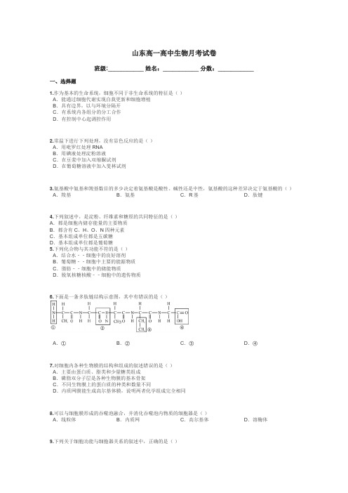 山东高一高中生物月考试卷带答案解析