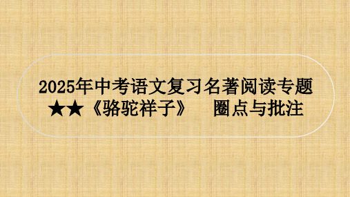 2025年中考语文复习名著阅读专题★★《骆驼祥子》课件(共25张PPT)