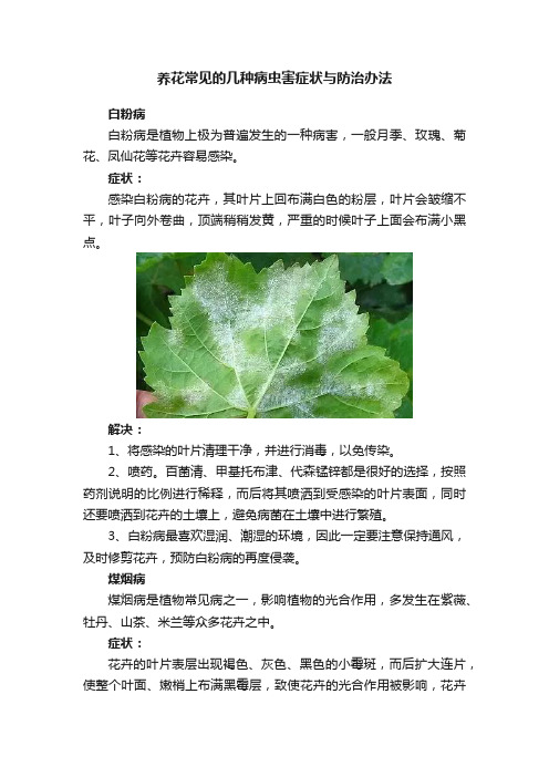 养花常见的几种病虫害症状与防治办法