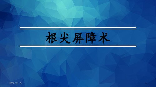 MTA根尖屏障术 ppt课件