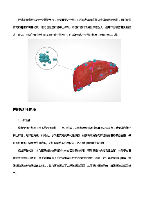 肝不好怎么办？水飞蓟加这三种东西效果好