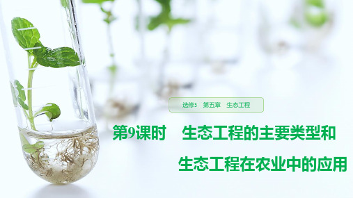 2019-2020新素养导学生物选修3浙江专用版：第5章选修3 第五章 第9课时