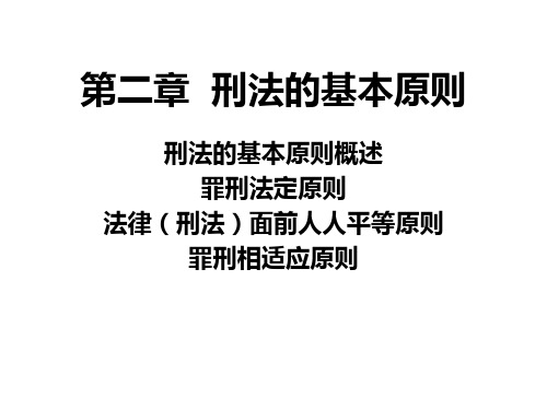 刑法总论第二章 刑法的基本原则