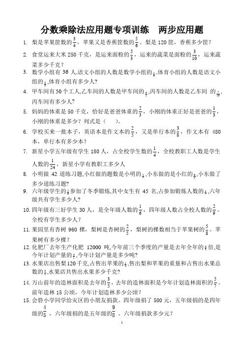 分数乘除法应用题专项训练  两步应用题 (16)