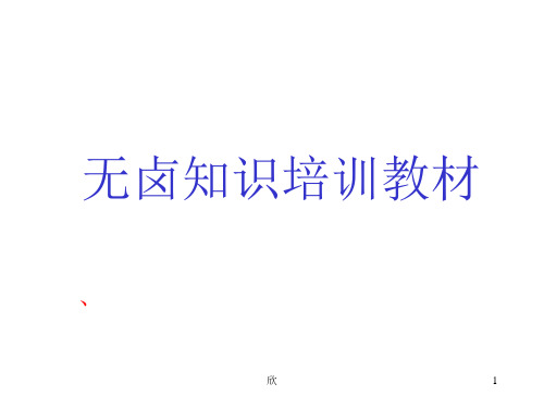 无卤的标识PPT演示课件